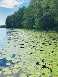 Similar image 22126884