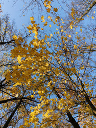 Similar image 22126885