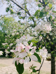 Similar image 22128302