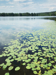 Similar image 22126890