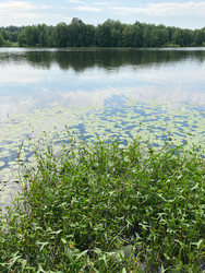 Similar image 22126891