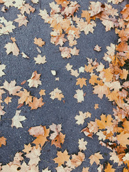 Similar image 22126894