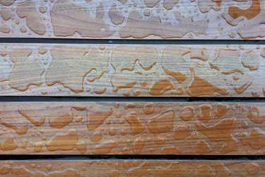 Similar image 22130265