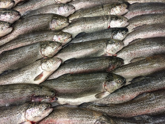 Similar image 22130268