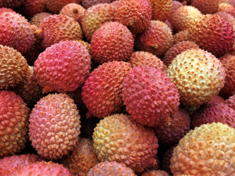 Similar image 22130272