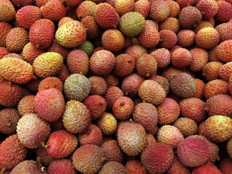 Similar image 22130274