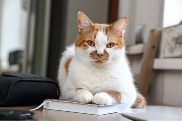 Similar image 22131477