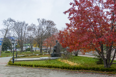 Similar image 22127342