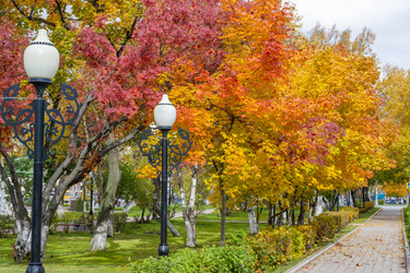 Similar image 22127346