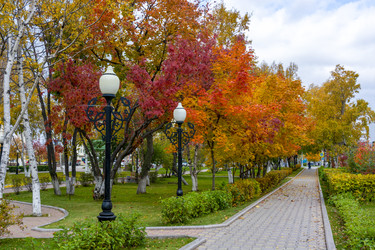 Similar image 22127348