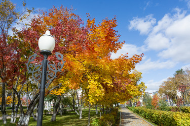 Similar image 22127349