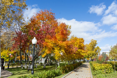 Similar image 22127350