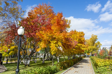 Similar image 22127351