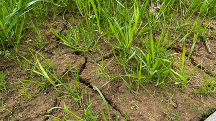 Similar image 22127374