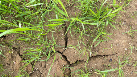 Similar image 22127376