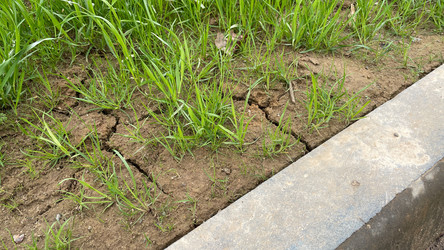 Similar image 22127377