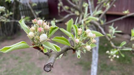 Similar image 22127386