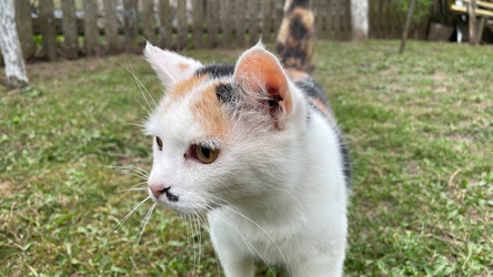 Similar image 22127387