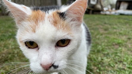 Similar image 22127389