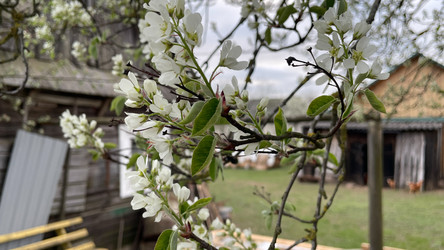 Similar image 22127390