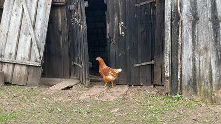 Similar image 22127391