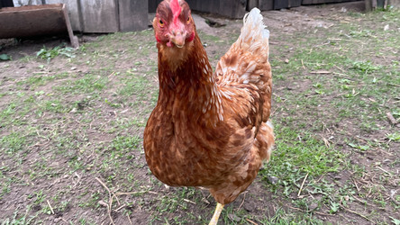 Similar image 22127393