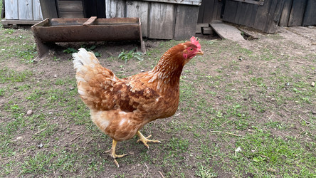 Similar image 22127395