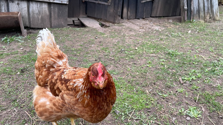 Similar image 22127396