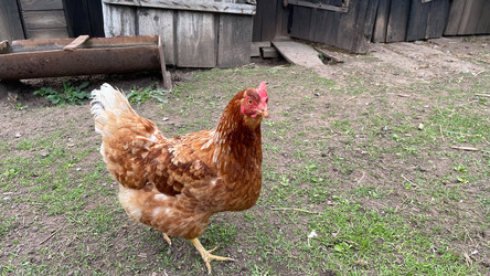 Similar image 22127397