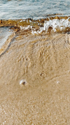 Similar image 22126752