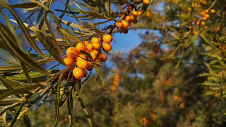 Similar image 22126754