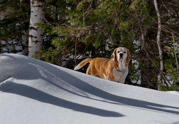 Similar image 22127403