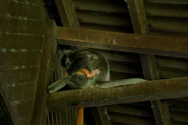 Similar image 22127404