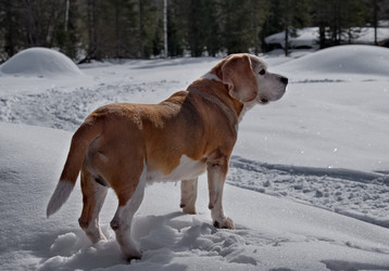 Similar image 22127405