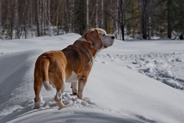 Similar image 22127407