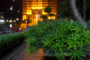 Similar image 22127408