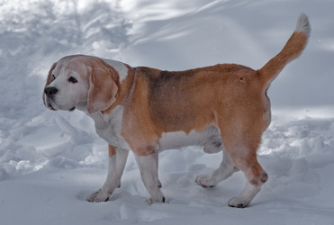 Similar image 22127410