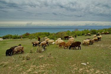 Similar image 22128544