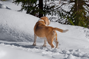 Similar image 22127411