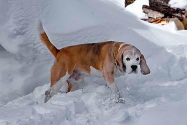 Similar image 22127413