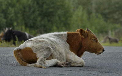 Similar image 22127415