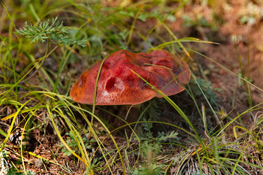 Similar image 22127428