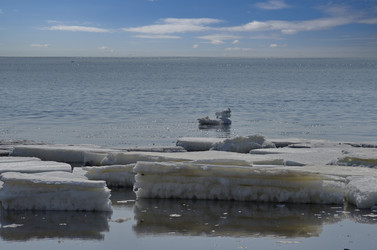 Similar image 22128551