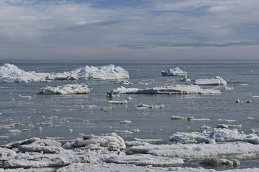 Similar image 22128552