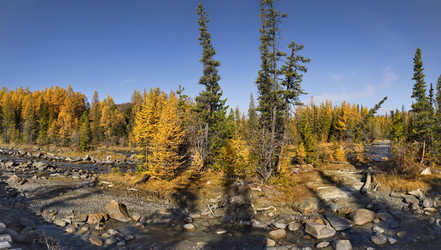 Similar image 22128567