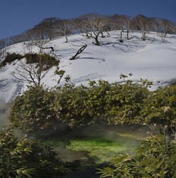 Similar image 22127435