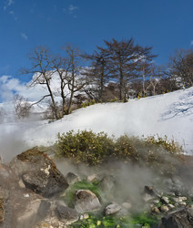 Similar image 22128571