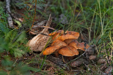 Similar image 22128574