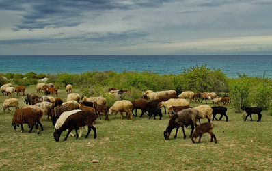 Similar image 22128575