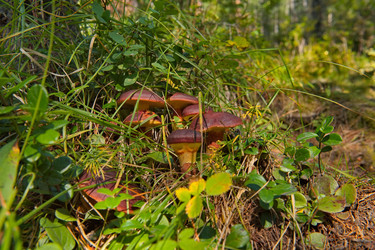 Similar image 22128576